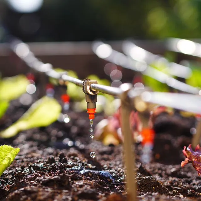 thumbnail for publication: Settling Basins for Microsprinkler Irrigation in Florida